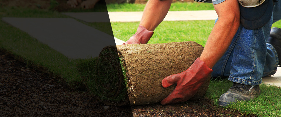 Keystone Heights Landscapers